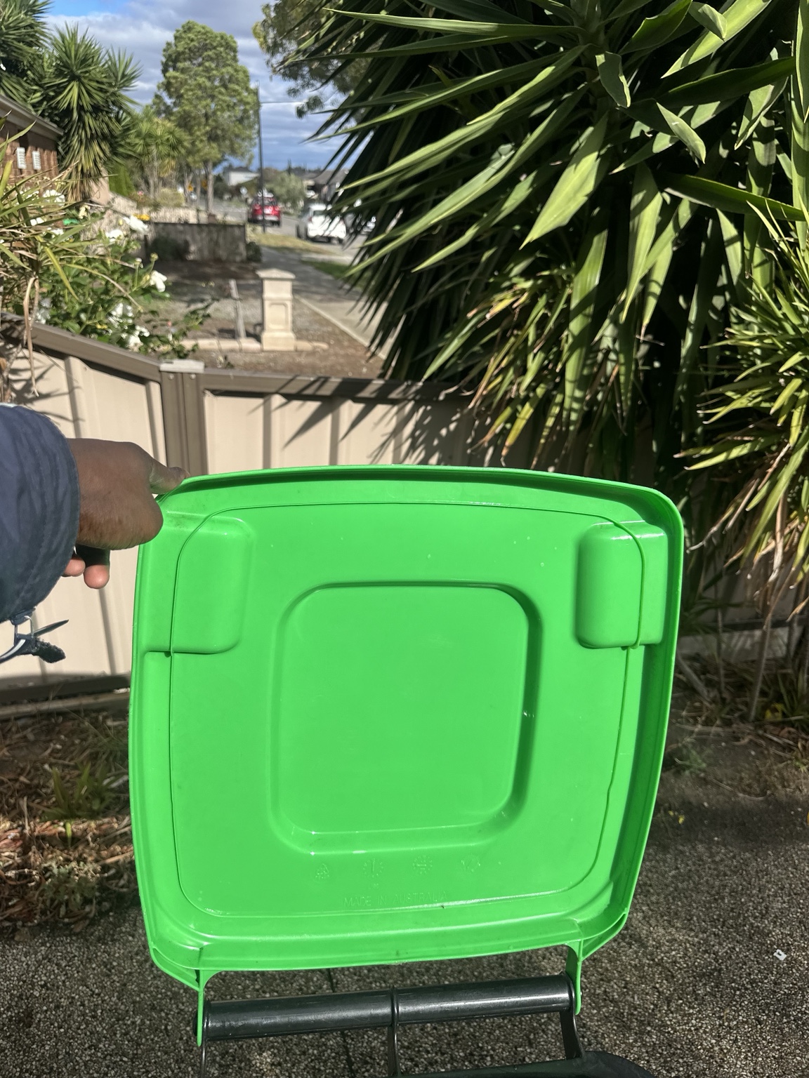 Freshly cleaned underside of a green waste bin lid