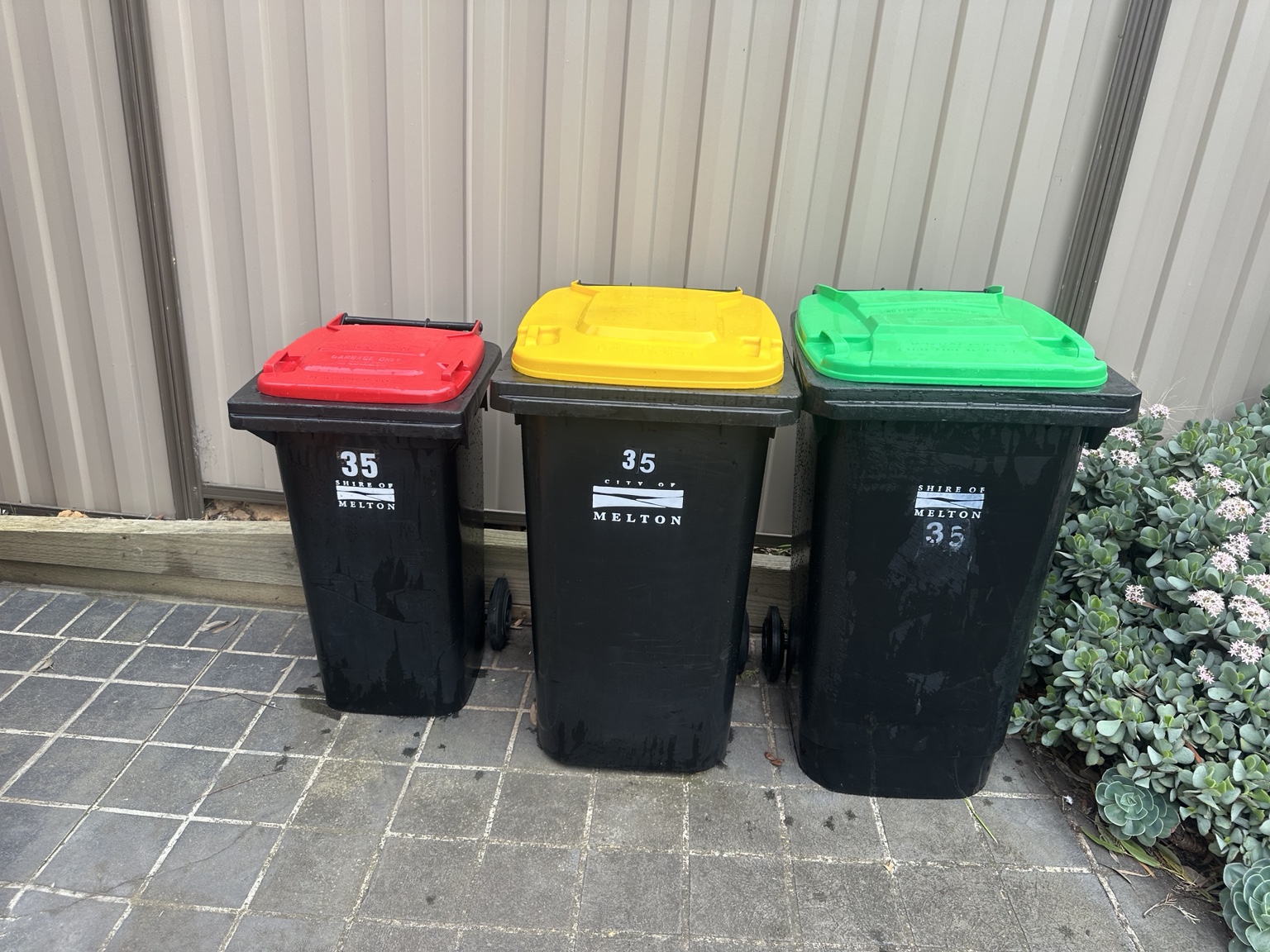Clean red, yellow, and green-lid Melton council wheelie bins