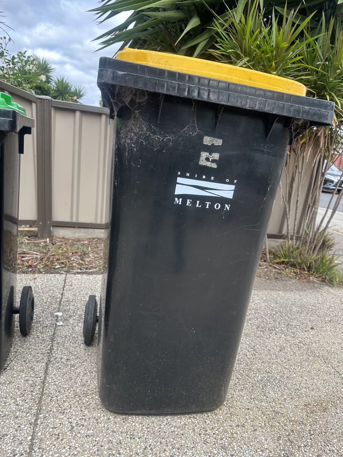 Before cleaning: yellow-lid recycling bin with cobwebs and visible grime
