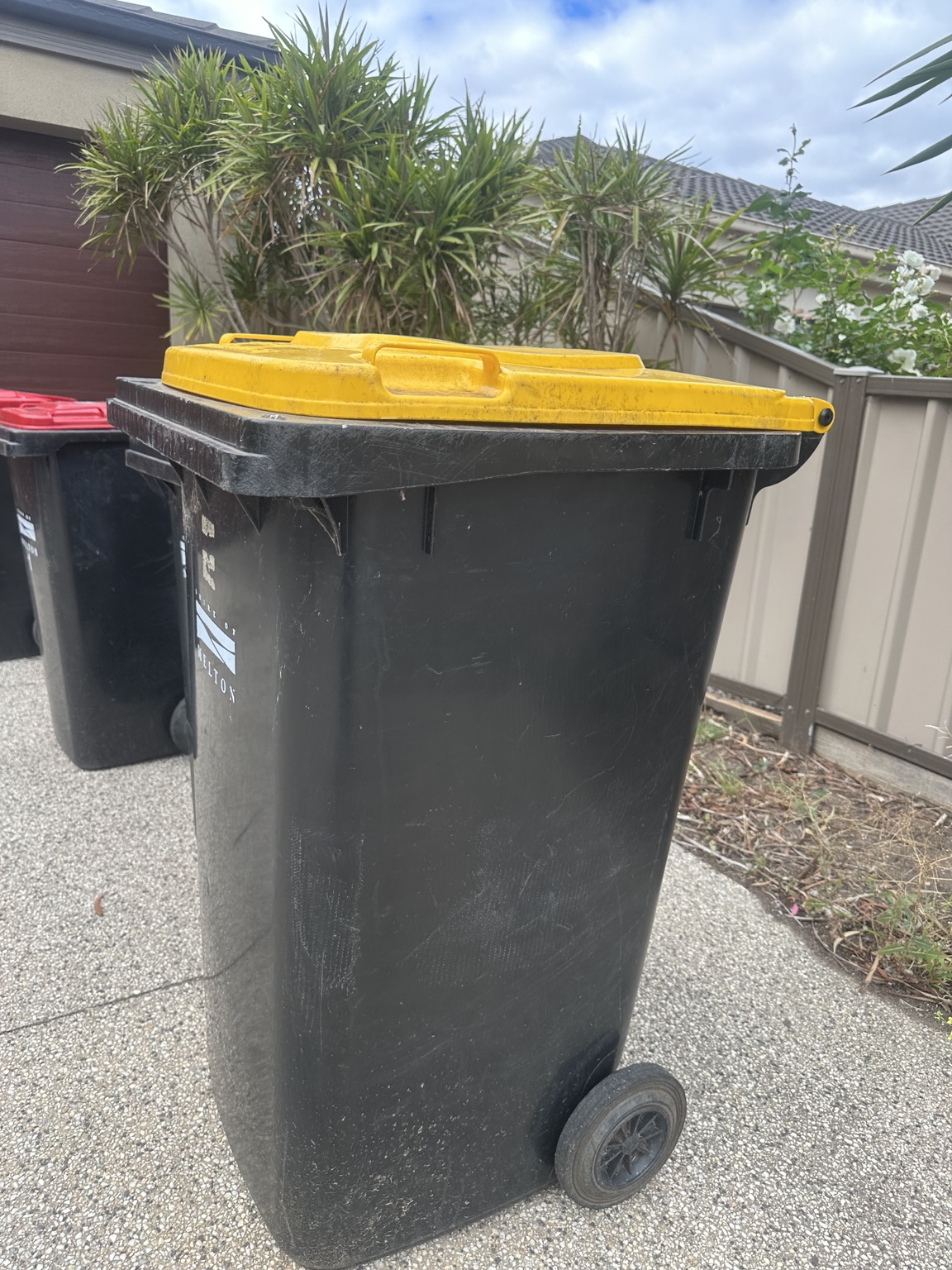 After cleaning: the yellow-lid recycling bin with a cleaner exterior