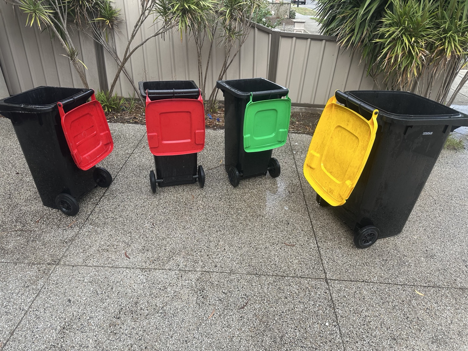 Four household bins with their lids open after cleaning